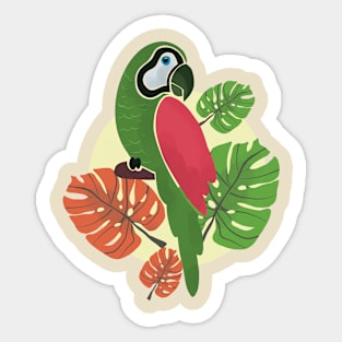 Green Arara Sticker